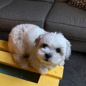 Meet your Posher, Meghan